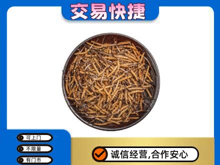 永昌县回收散虫草